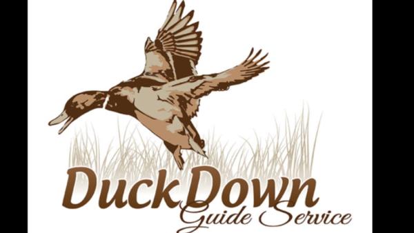 Arkansas Dove Hunts