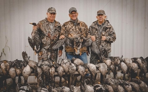 Speckle Belly Goose Hunting Photos